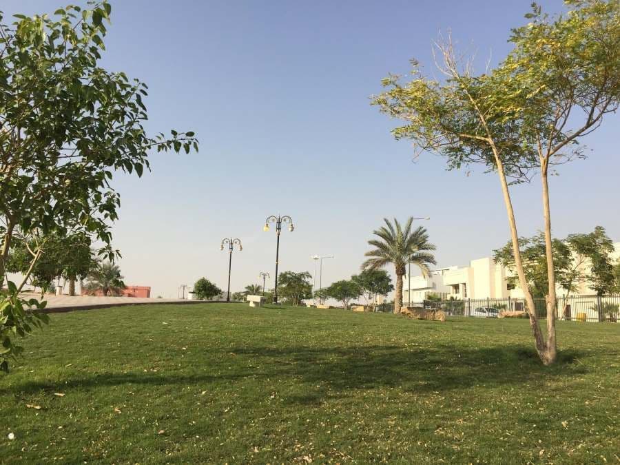 telal alriyadh